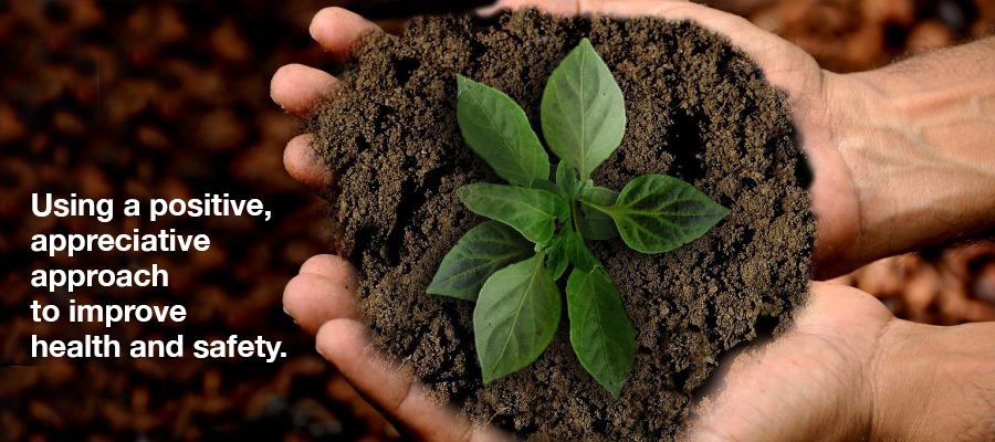 Positive Culture Framework